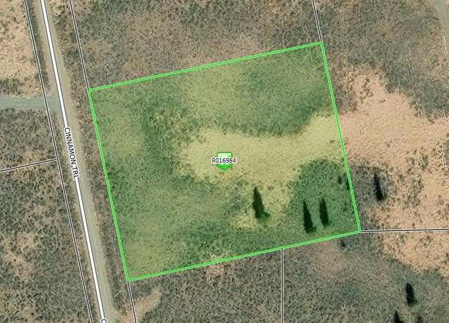 Property at 1316 Cinnamon Trl, Powderhorn, CO 81243