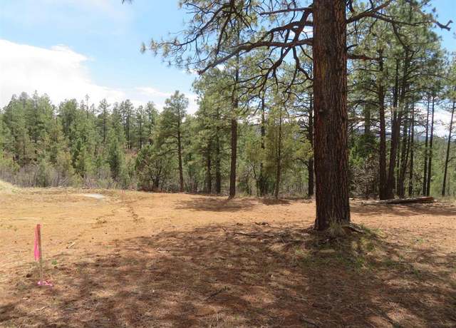 Property at 536 Doc Adams Rd, Pagosa Springs, CO 81147
