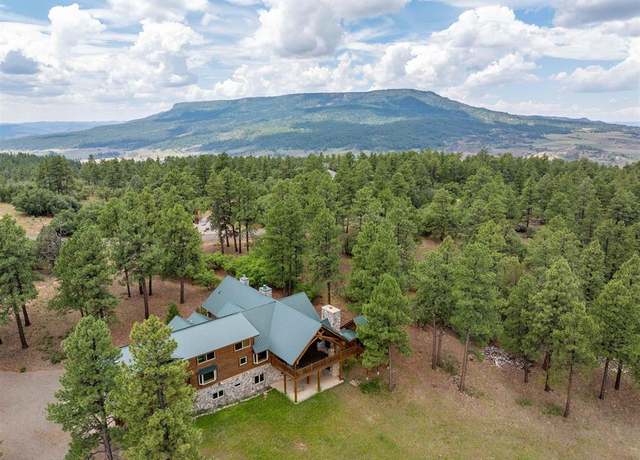 Property at 473 N Black Bear Pl, Pagosa Springs, CO 81147, 4 beds, 3.5 baths