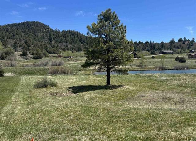 Property at 213 Pebble Cir, Pagosa Springs, CO 81147