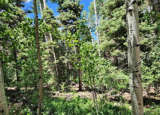Property at 1506 Clarke Mountain Ln, Antonito, CO 81120