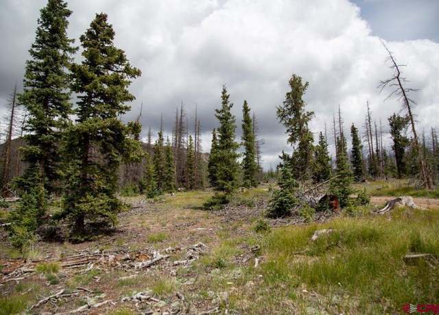 Property at TBD Forest Rd 503, Creede, CO 81130