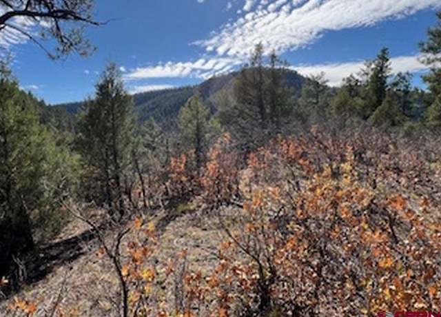 Property at X Pine Crest Rd, Pagosa Springs, CO 81147