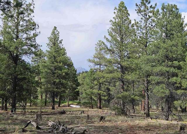 Property at 155 Monterosa Ct, Pagosa Springs, CO 81147