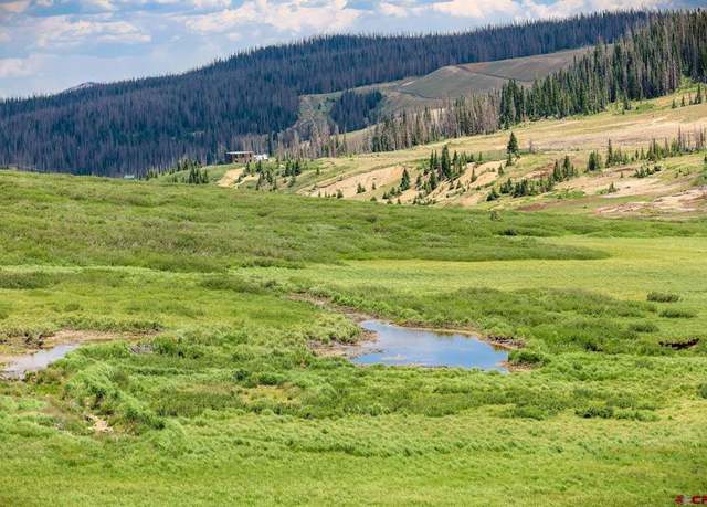 Property at LOT 2 Forest Service Road 330, South Fork, CO 81154