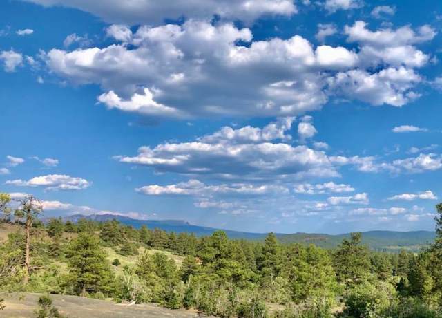Property at 776 Quien Sabe St, Pagosa Springs, CO 81147
