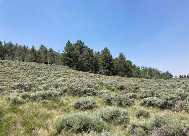 Property at 131 Mosquito Trl, Powderhorn, CO 81243