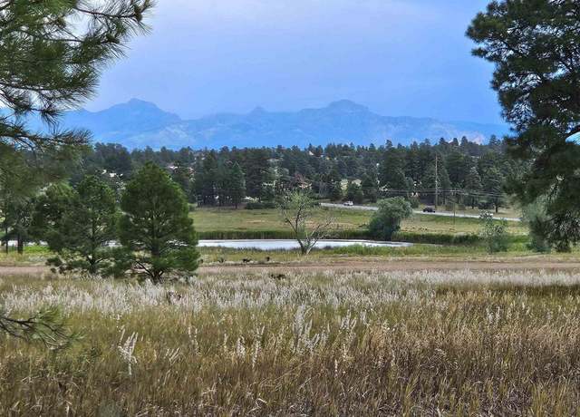 Property at 340 Prospect Blvd, Pagosa Springs, CO 81147