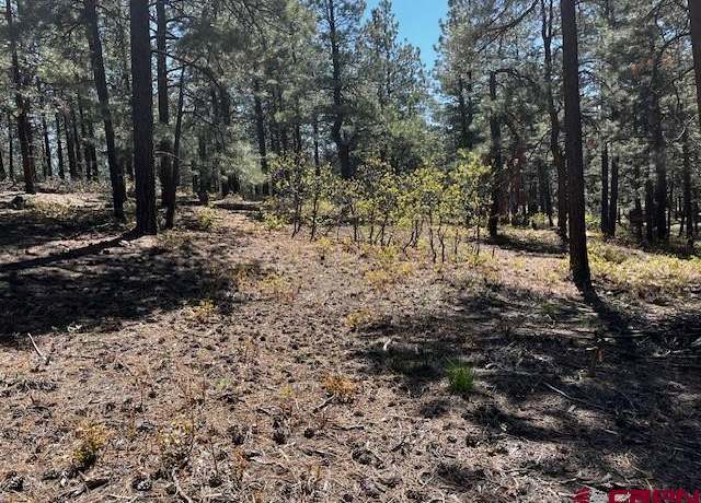 Property at 221 Badger Rd, Bayfield, CO 81122