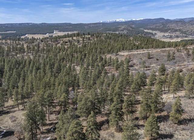 Property at TBD Lot 8 Beaver Creek Ranch Dr, Bayfield, CO 81122