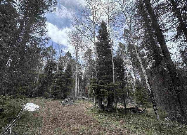 Property at 766 Crest Dr, Cimarron, CO 81220