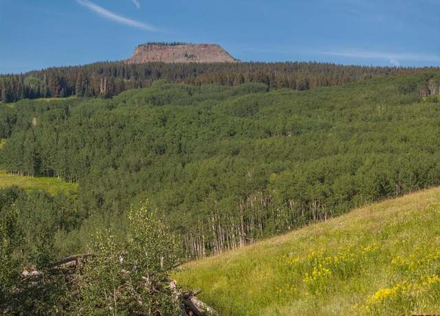Property at 465 Oversteeg Gulch Rd, Crested Butte, CO 81224