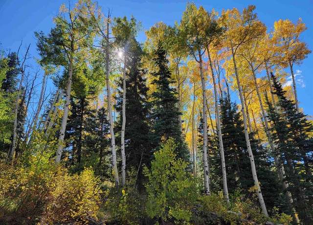 Property at 176 (lot 30) Engineer Dr, Durango, CO 81301