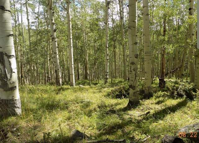 Property at #TBD Usfs Rd 763 Rd, Pitkin, CO 81241