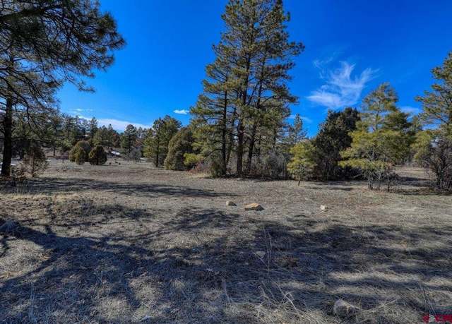 Property at 829 Buttress Ave, Pagosa Springs, CO 81147