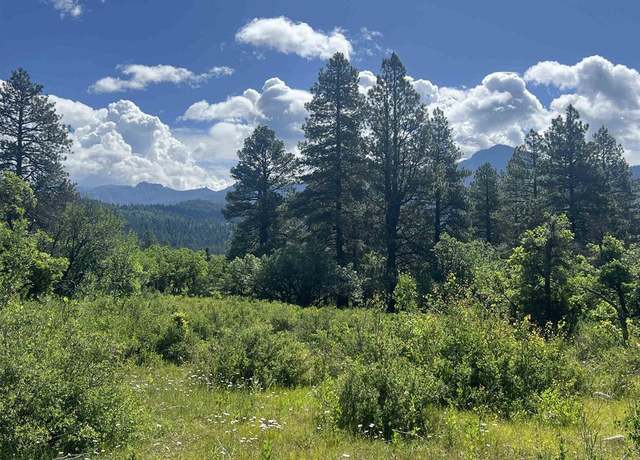 Property at 1800 Needles View Pl, Pagosa Springs, CO 81147