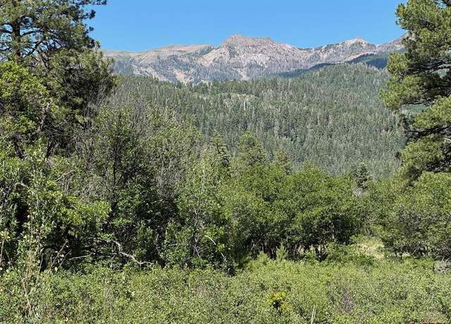 Property at 1800 Needles View Pl, Pagosa Springs, CO 81147