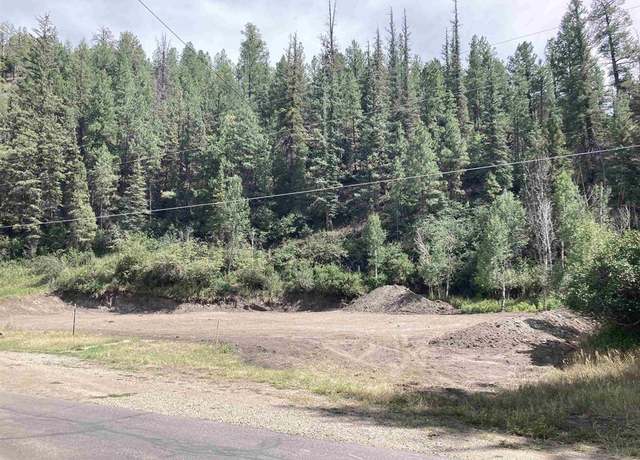 Property at 275 San Juan St Lot4, Pagosa Springs, CO 81147