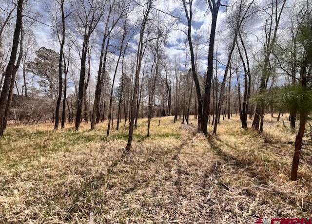 Property at 95 Pinestone Dr, Bayfield, CO 81122