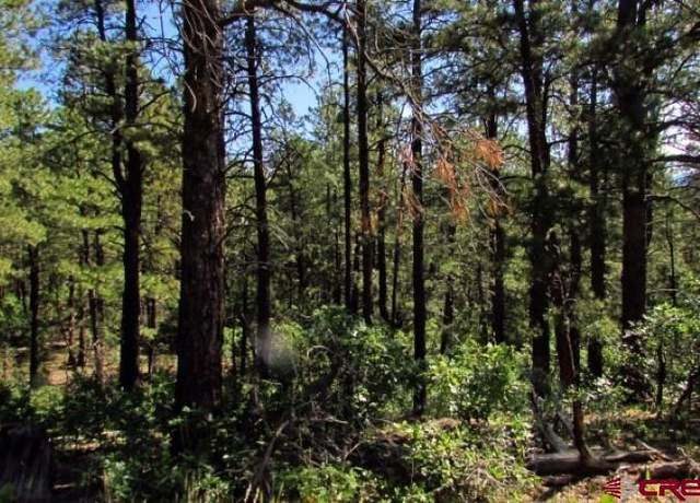 Property at 115 S Squaw Canyon Pl, Pagosa Springs, CO 81147