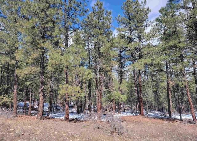 Property at X Echo Lake Access Easement, Pagosa Springs, CO 81147