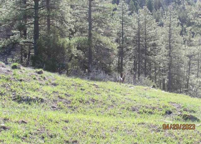 Property at 881 Ironwood Dr, Pagosa Springs, CO 81147