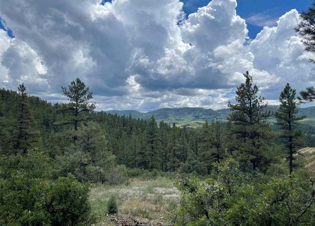 Property at 881 Ironwood Dr, Pagosa Springs, CO 81147