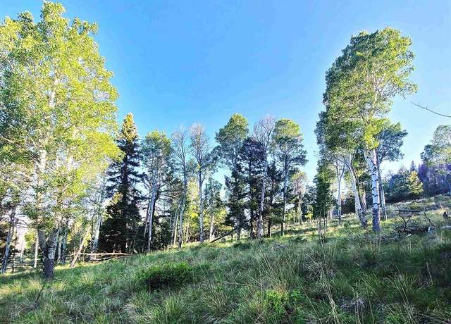 Property at 284 Kebler Trl, Powderhorn, CO 81243
