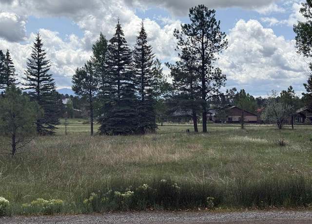 Property at 201 Pines Club Pl, Pagosa Springs, CO 81147