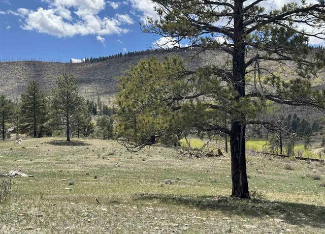 Property at 150 Rickel Cir, South Fork, CO 81154