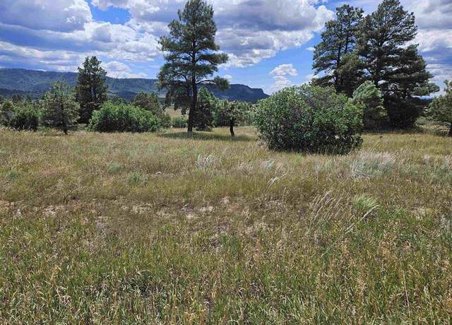 Property at 266 Prospect Blvd, Pagosa Springs, CO 81147