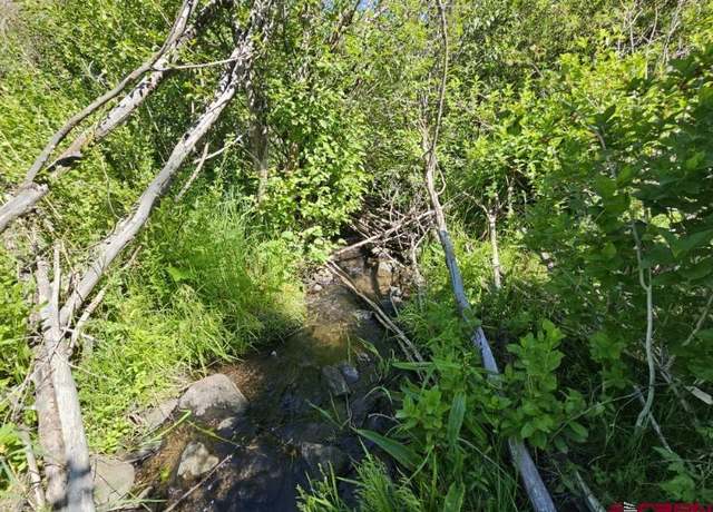 Property at 356 Church Creek Dr, South Fork, CO 81154