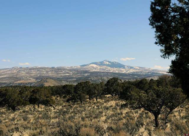 Property at TBD Tract 1 Bostwick Park Rd, Montrose, CO 81403