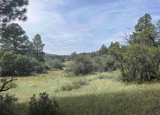 Property at 257 E Arbol Park Dr, Chromo, CO 81128