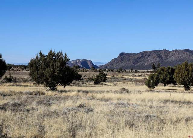 Property at TBD Tract 5 Bostwick Park Rd, Montrose, CO 81403