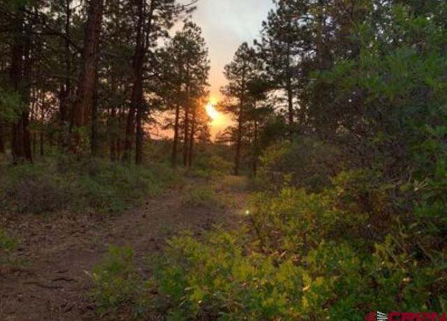 Property at 199 Meadow Ln, Ridgway, CO 81432