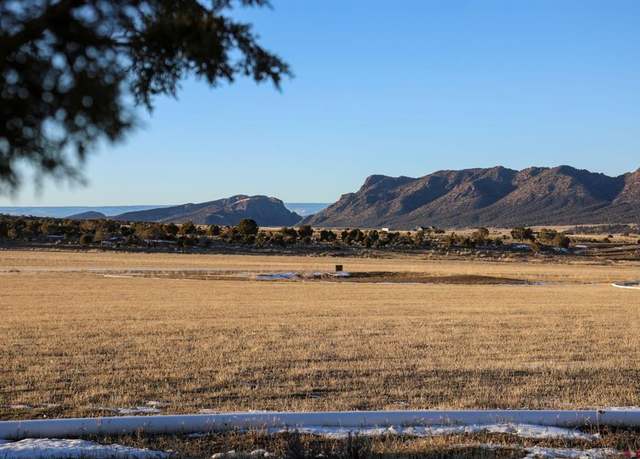 Property at TBD Tract 8 Bostwick Park Rd, Montrose, CO 81403