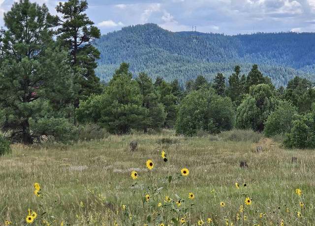Property at 162 Prospect Blvd, Pagosa Springs, CO 81147