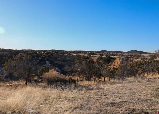 Property at TBD Tract 10 Bostwick Park Rd, Montrose, CO 81403