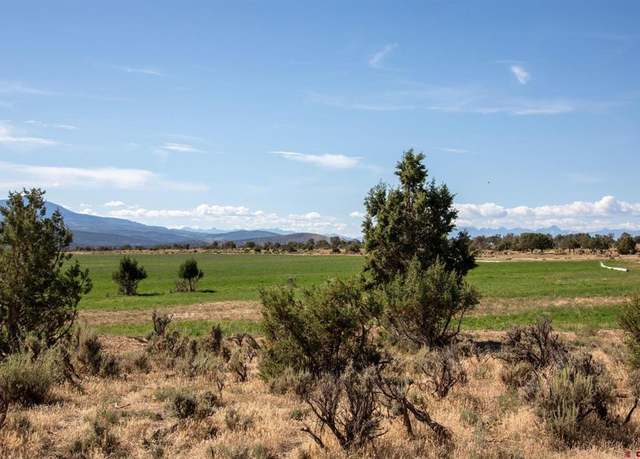 Property at TBD Tract 13 Bostwick Park Rd, Montrose, CO 81403