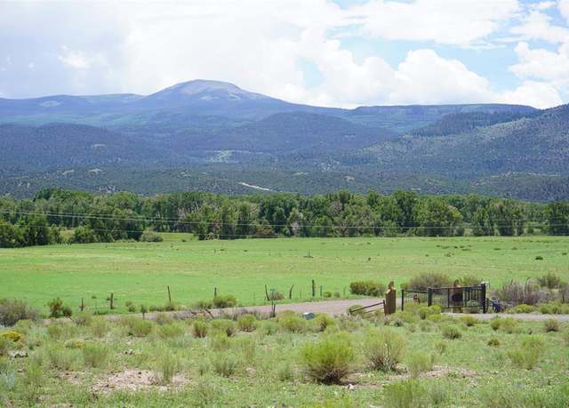 Property at 57 E Pfieffer Loop, South Fork, CO 81154