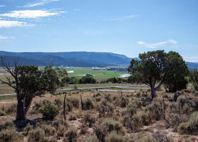 Property at TBD Tract 14 Bostwick Park Rd, Montrose, CO 81403