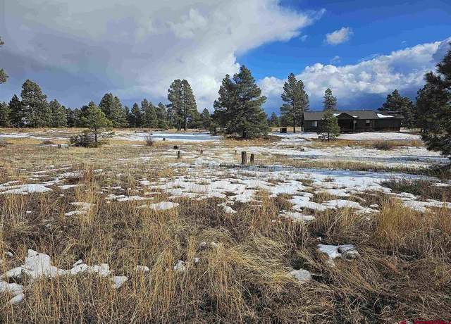 Property at 335 Domicile Cir, Pagosa Springs, CO 81147