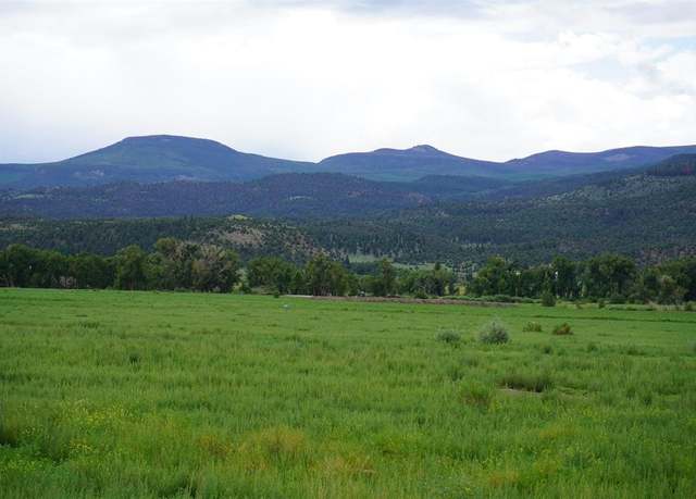 Property at 65 Cahill Ct, South Fork, CO 81154