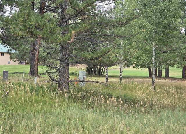 Property at 94 Pines Club Pl, Pagosa Springs, CO 81147