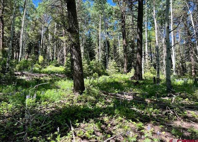 Property at 457 Ute Dr, Cimarron, CO 81220