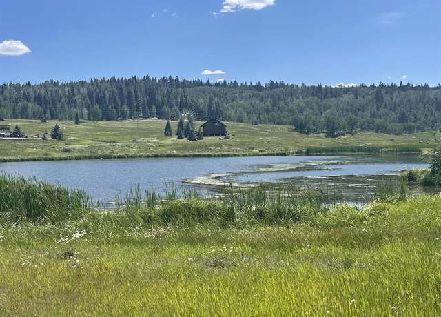 Property at 260 Clearwater Ln, Pagosa Springs, CO 81147