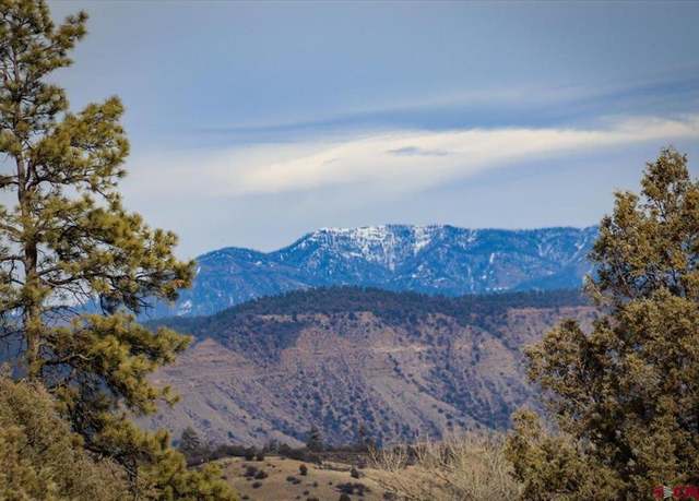 Property at x County Rd 500, Pagosa Springs, CO 81147