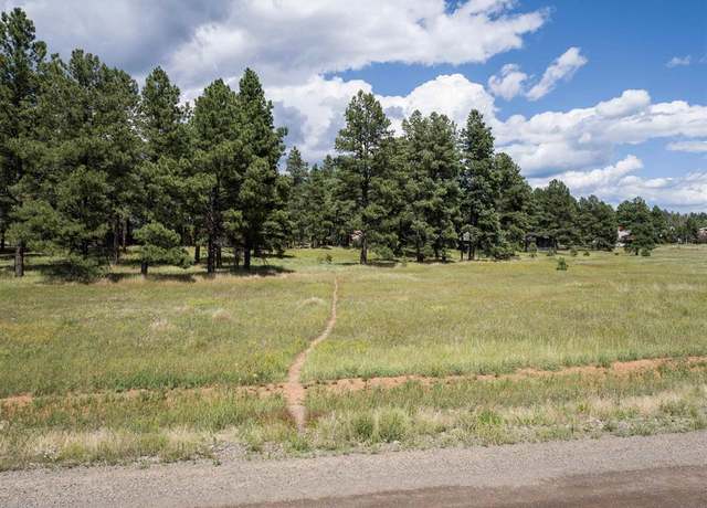 Property at 1520 Antelope Ave, Pagosa Springs, CO 81147