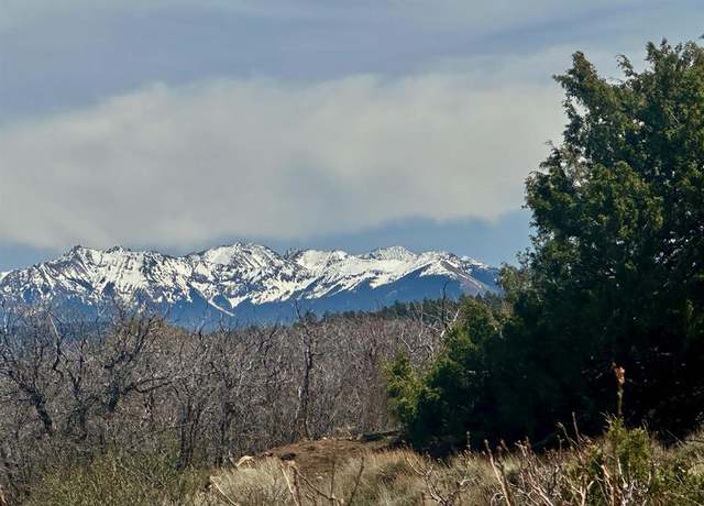 Property at N Gurley Reserve, Norwood, CO 81423